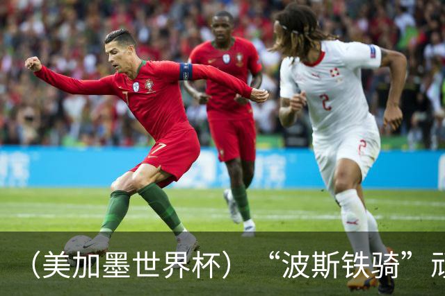 （美加墨世界杯）“波斯铁骑”顽强两连平 伊朗队期待更进一步